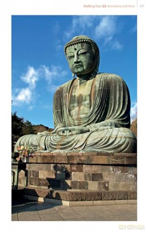 Tokyo, 29 Historic Walks in the World's Most Exciting City - John H. Martin [KSIĄŻKA]