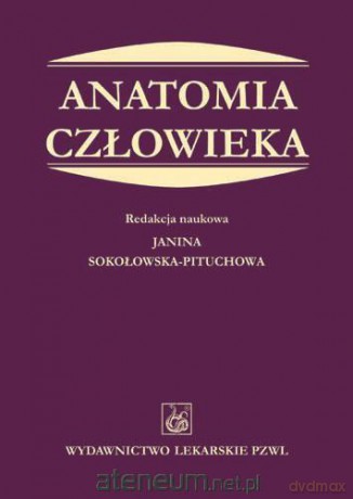 Anatomia człowieka [KSIĄŻKA]