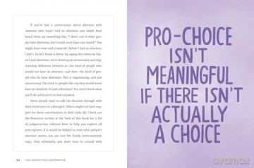 The Abortion Companion: An Affirming Handbook for Your Choice and Your Journey - Becca Rea-Tucker [KSIĄŻKA]