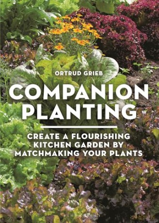 Companion Planting: Create a Flourishing Kitchen Garden By Matchmaking Your Plants - Ortrud Grieb [KSIĄŻKA]