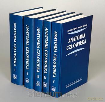 Anatomia człowieka Tom 1-5 [KSIĄŻKA]