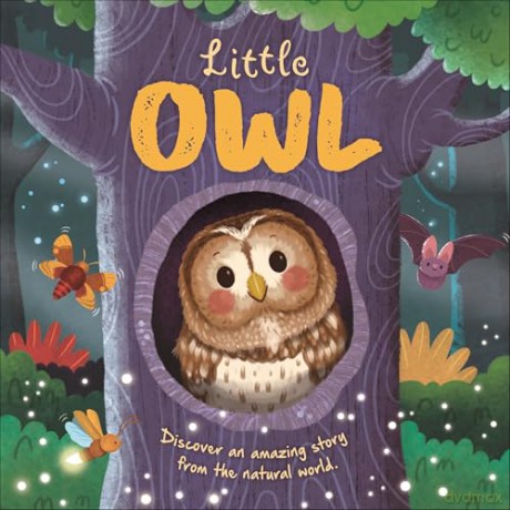 Collection of 8 Nature Stories 2 (Children's Illustrated Picture Flats) [KSIĄŻKA]