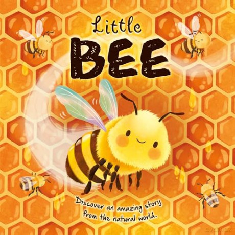 Collection of 8 Nature Stories 2 (Children's Illustrated Picture Flats) [KSIĄŻKA]