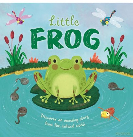 Collection of 8 Nature Stories 2 (Children's Illustrated Picture Flats) [KSIĄŻKA]
