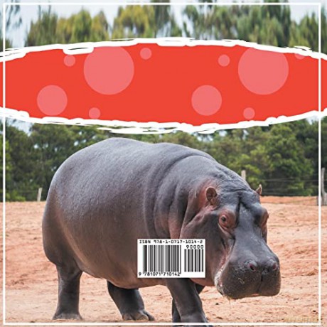 Hippos: Children's Zoology Book With Interesting And Informative Facts - Susan Brown [KSIĄŻKA]