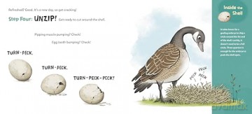 How to Hatch: A Gosling's Guide to Breaking Free - Sara Holly Ackerman [KSIĄŻKA]