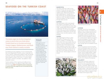 Fodor's Essential Turkey (Full-color Travel Guide) - Fodor's Travel Guides [KSIĄŻKA]