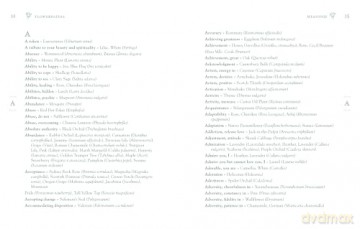 Flowerpaedia: 1000 flowers and their meanings - Cheralyn Darcey [KSIĄŻKA]