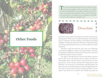 The Genealogy of Plant Foods: The Spiritual, Nutritional, and Medicinal Power of the Foods That Sustain Us - Nathaniel Altman [KSIĄŻKA]