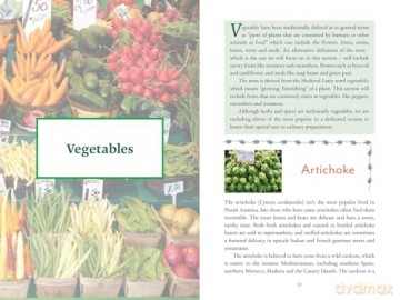 The Genealogy of Plant Foods: The Spiritual, Nutritional, and Medicinal Power of the Foods That Sustain Us - Nathaniel Altman [KSIĄŻKA]