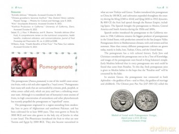 The Genealogy of Plant Foods: The Spiritual, Nutritional, and Medicinal Power of the Foods That Sustain Us - Nathaniel Altman [KSIĄŻKA]