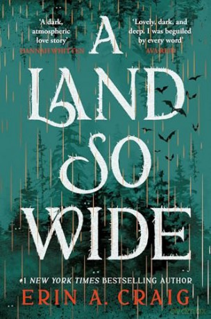 A Land So Wide: A breathtaking, deliciously dark fairy tale from #1 New York Times and USA Today bestselling author Erin A. Craig - Erin A. Craig [KSIĄŻKA]