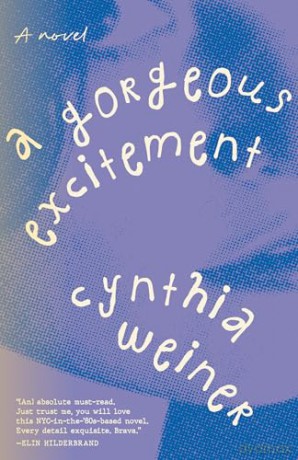 A Gorgeous Excitement: A Novel - Cynthia Weiner [KSIĄŻKA]