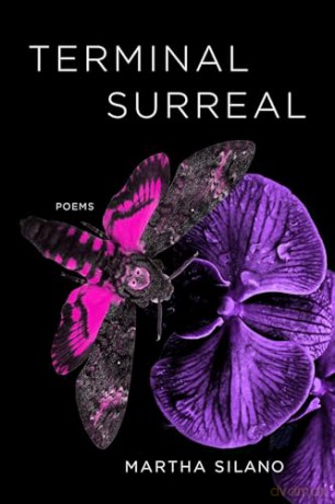 Terminal Surreal: Poems - Martha Silano [KSIĄŻKA]