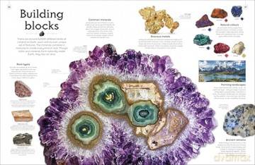 Shapes of Nature: A Big, Beautiful Book of the Natural World for Kids - Ben Hoare [KSIĄŻKA]