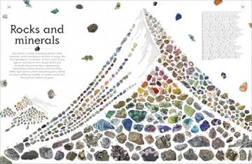Shapes of Nature: A Big, Beautiful Book of the Natural World for Kids - Ben Hoare [KSIĄŻKA]