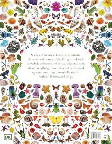 Shapes of Nature: A Big, Beautiful Book of the Natural World for Kids - Ben Hoare [KSIĄŻKA]