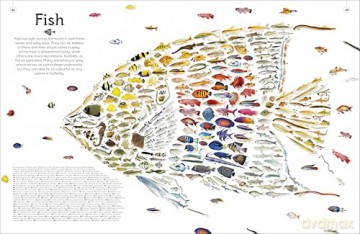 Shapes of Nature: A Big, Beautiful Book of the Natural World for Kids - Ben Hoare [KSIĄŻKA]