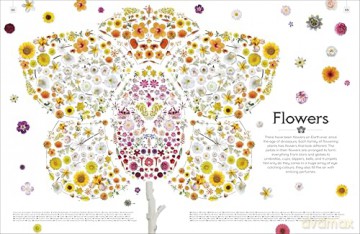 Shapes of Nature: A Big, Beautiful Book of the Natural World for Kids - Ben Hoare [KSIĄŻKA]