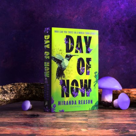 Day of Now: A powerful post-apocalyptic story about facing impossible choices - Miranda Reason [KSIĄŻKA]