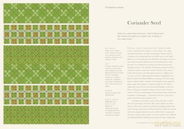 The Grammar of Spice: Blend - Infuse - Restore - Caz Hildebrand [KSIĄŻKA]
