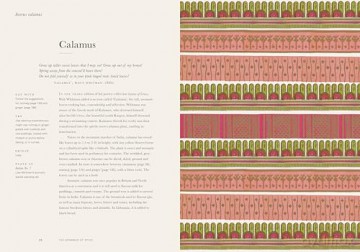 The Grammar of Spice: Blend - Infuse - Restore - Caz Hildebrand [KSIĄŻKA]