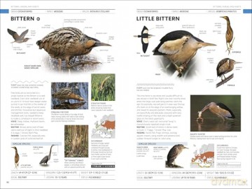 RSPB Birds of Britain and Europe: The Definitive Photographic Field Guide - Rob Hume [KSIĄŻKA]