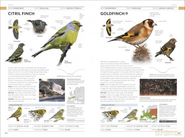 RSPB Birds of Britain and Europe: The Definitive Photographic Field Guide - Rob Hume [KSIĄŻKA]