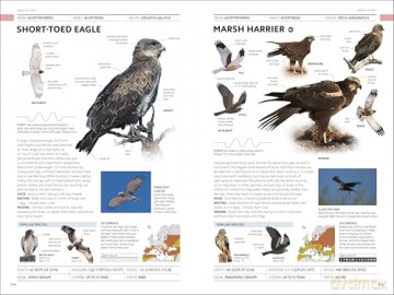 RSPB Birds of Britain and Europe: The Definitive Photographic Field Guide - Rob Hume [KSIĄŻKA]