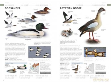 RSPB Birds of Britain and Europe: The Definitive Photographic Field Guide - Rob Hume [KSIĄŻKA]