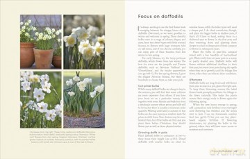 The Money-Saving Gardener Containers: THE INSTANT SUNDAY TIMES BESTSELLER - Anya Lautenbach [KSIĄŻKA]