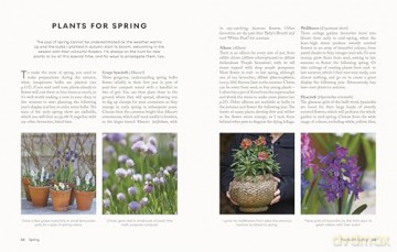The Money-Saving Gardener Containers: THE INSTANT SUNDAY TIMES BESTSELLER - Anya Lautenbach [KSIĄŻKA]