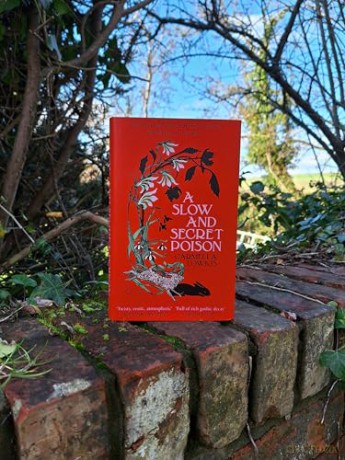 A Slow and Secret Poison - Carmella Lowkis [KSIĄŻKA]