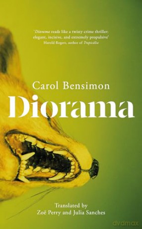 Diorama: an engrossing suspense novel set in 1980s Brazil - Carol Bensimon [KSIĄŻKA]