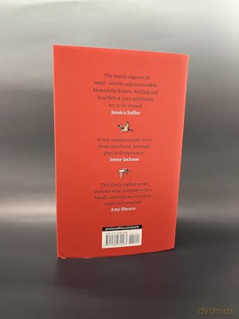 The Irish Goodbye: The US Sensation Perfect For Readers of The Wedding People - Heather Aimee O'Neill [KSIĄŻKA]