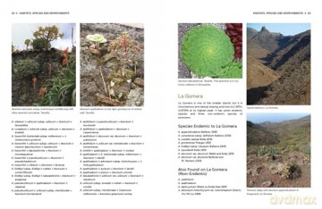 Understanding and Growing Aeoniums: From wild origins to garden success - Melanie Lewis [KSIĄŻKA]