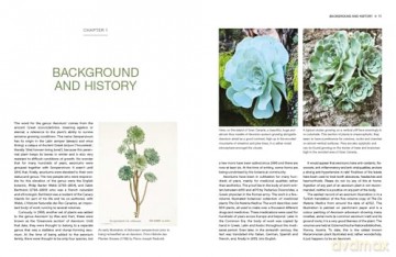 Understanding and Growing Aeoniums: From wild origins to garden success - Melanie Lewis [KSIĄŻKA]