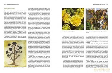 Understanding and Growing Aeoniums: From wild origins to garden success - Melanie Lewis [KSIĄŻKA]