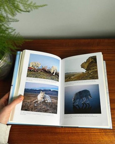 Frostlines: 'A book to treasure' The Sunday Times - Neil Shea [KSIĄŻKA]