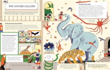 Locked in the Museum: Over one hundred amazing artefacts in one magical adventure - Leisa Stewart-Sharpe [KSIĄŻKA]