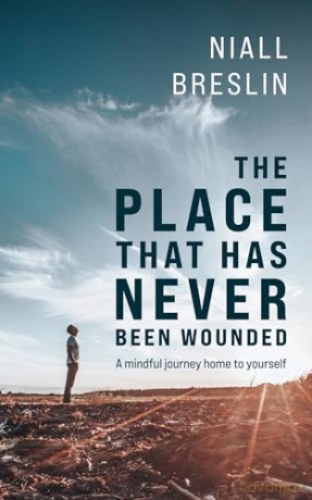 The Place That Has Never Been Wounded: A Mindful Journey Home To Yourself - Niall Breslin [KSIĄŻKA]