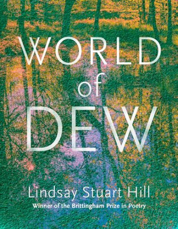 World of Dew (Wisconsin Poetry Series) - Lindsay Stuart Hill [KSIĄŻKA]