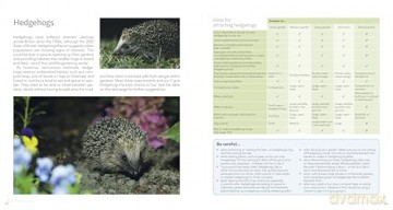 Wildlife Gardening for Everyone and Everything: Second edition - Kate Bradbury [KSIĄŻKA]