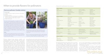 Wildlife Gardening for Everyone and Everything: Second edition - Kate Bradbury [KSIĄŻKA]