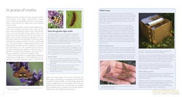 Wildlife Gardening for Everyone and Everything: Second edition - Kate Bradbury [KSIĄŻKA]