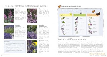 Wildlife Gardening for Everyone and Everything: Second edition - Kate Bradbury [KSIĄŻKA]