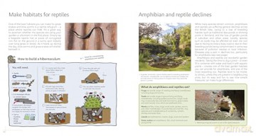 Wildlife Gardening for Everyone and Everything: Second edition - Kate Bradbury [KSIĄŻKA]