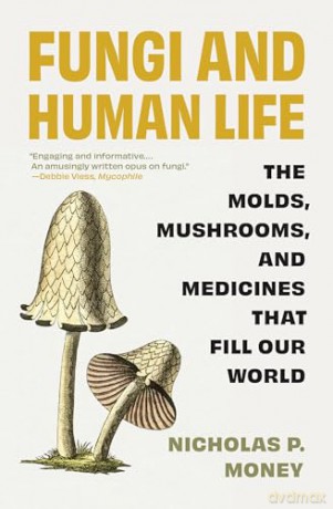 Fungi and Human Life: The Molds, Mushrooms, and Medicines That Fill Our World - Nicholas P. Money [KSIĄŻKA]