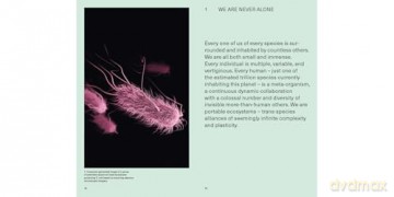 We the Bacteria: Notes Toward Biotic Architecture - Mark Wigley [KSIĄŻKA]