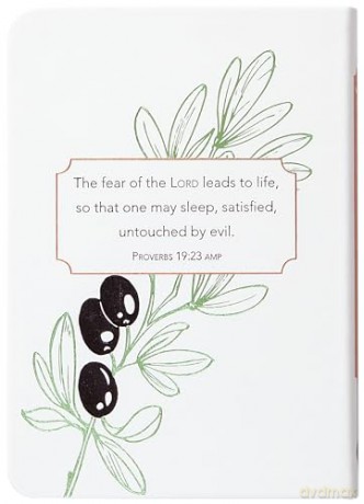 Jesus Amplified: The Deeper Meaning of the Words of Jesus - Ray Comfort [KSIĄŻKA]